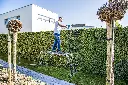 LPS12PICN_5414045039034_10.webp