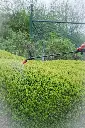 TSP05_02.webp