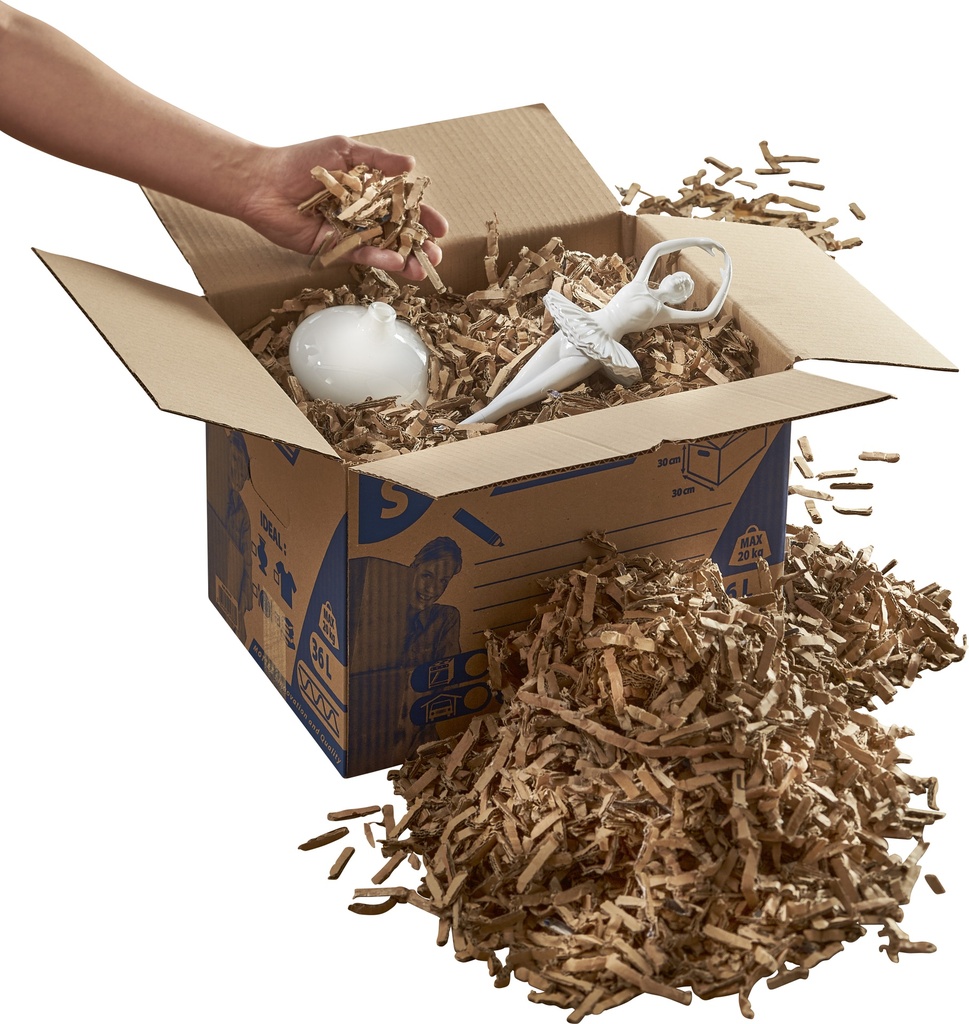 image_ZMB986S_3050_0