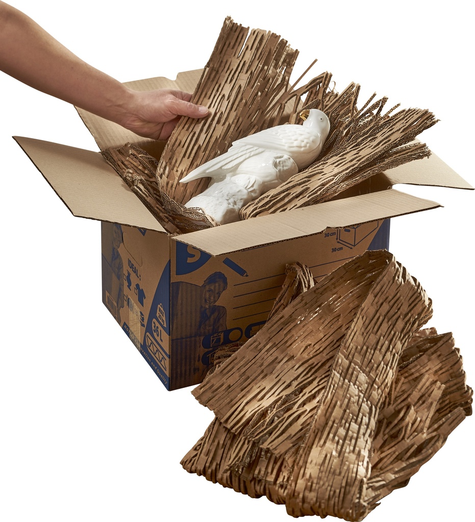 image_ZMB990S_3051_4