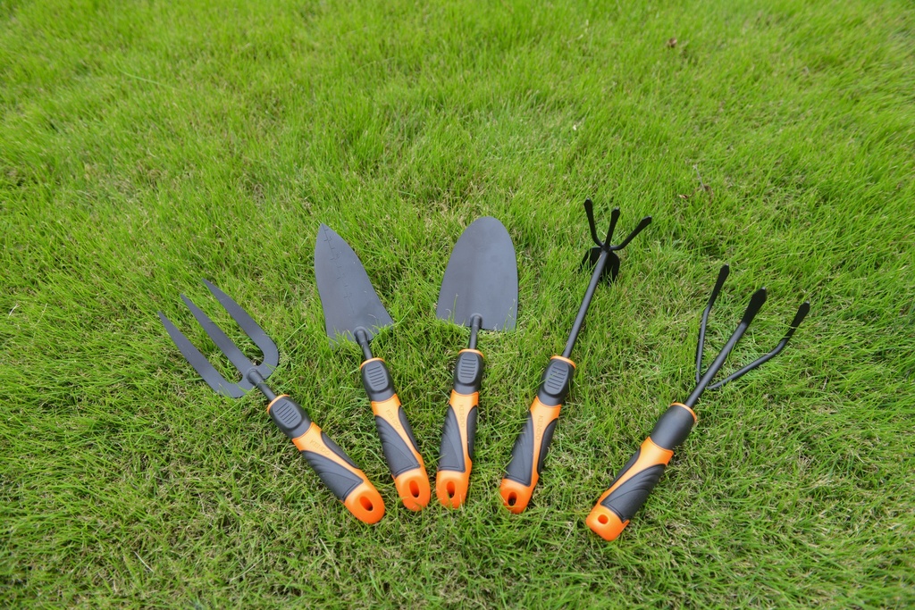 image_KE60702_1583_5