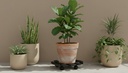 image_R064R_3474_0