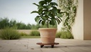 image_R063R_3472_1