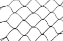 Filets protection oiseaux