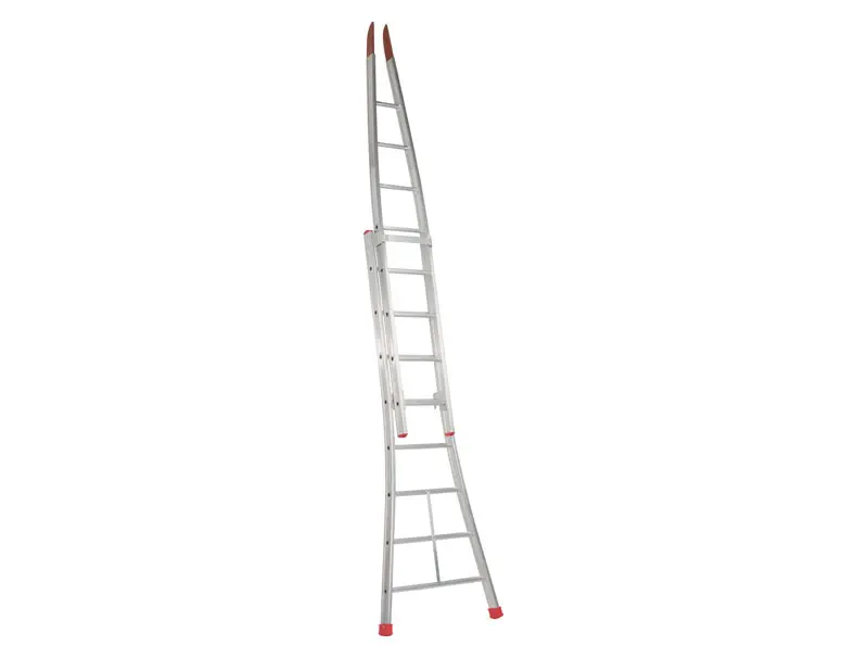 Window cleaning ladder