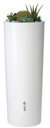 REGENTON COLOR 350L COCO + ACCESSOIRES