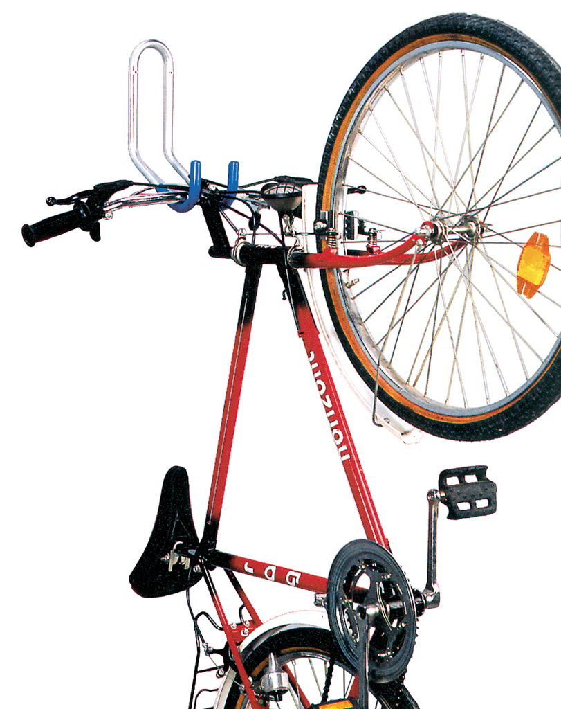 Double bicycle hook